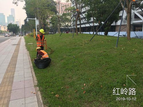 迎改革开放40周年绿化品质提升项目10月12日工程日报