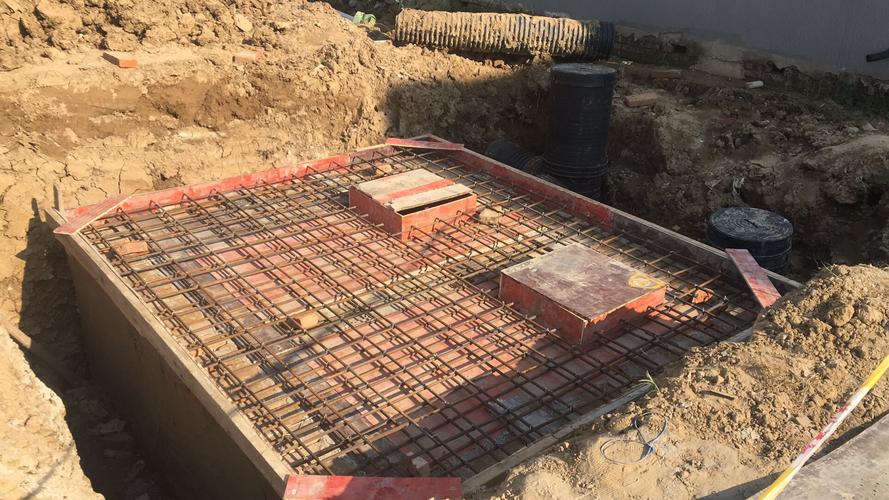 凤阳县淮干工程枣巷镇老巨安置点景观绿化工程 绘就宜居新画卷