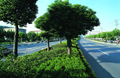 城市绿韵 园林绿化工程的营造之道