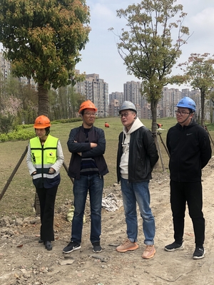 绿化工程 绿色发展筑牢生态之基